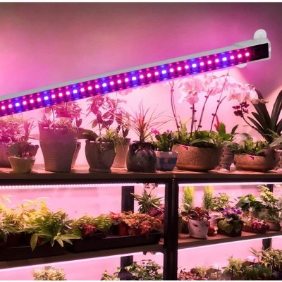 https://www.groho.es/product/lampara-de-48-led