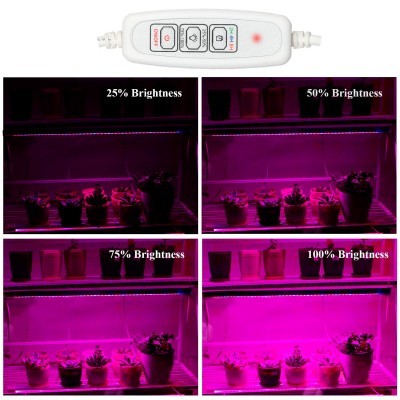 Controle remoto branco para luz LED e plantas em vasos sob várias intensidades de luz cor-de-rosa