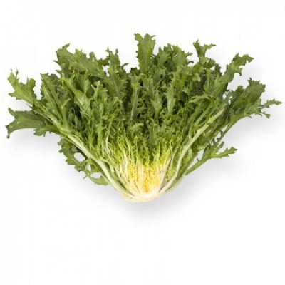 Folha de alface frisada verde com bordas recortadas, fundo branco