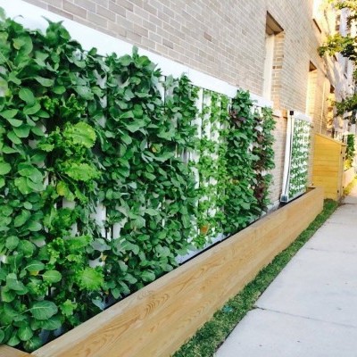 Painel vertical com plantas verdes e suporte de madeira clara junto à parede de tijolos clara