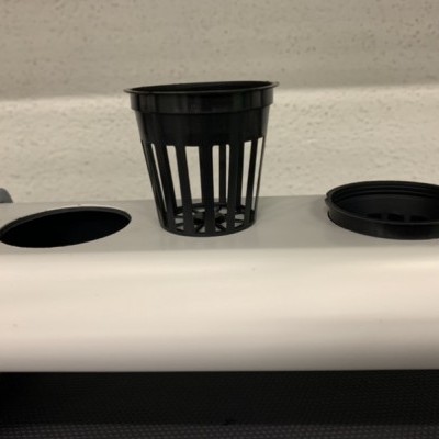 Sistema de cultivo hidropónico com tubo branco e cesto de plástico preto