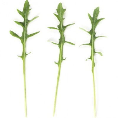 https://www.groho.es/product/semillas-rucula