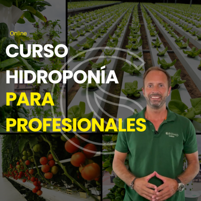 Promoção de curso online de hidroponia com plantas e instrutor em camisa verde