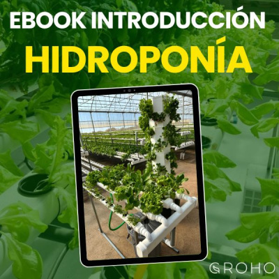 https://www.groho.es/product/ebook-introduccion-a-la-hidroponia