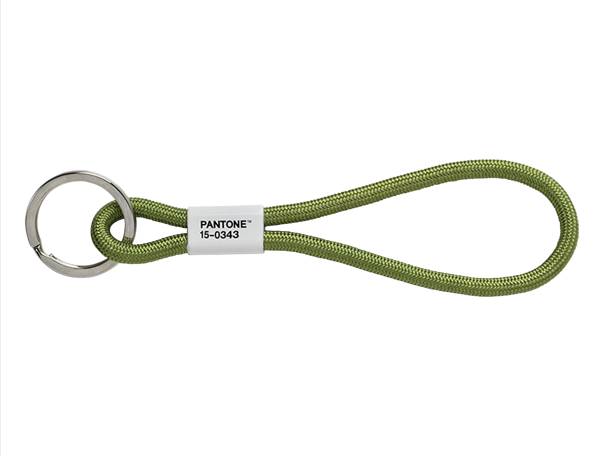 PANTONE SHORT KEYCHAIN Argola de chave verde com anel metálico e rótulo Pantone
