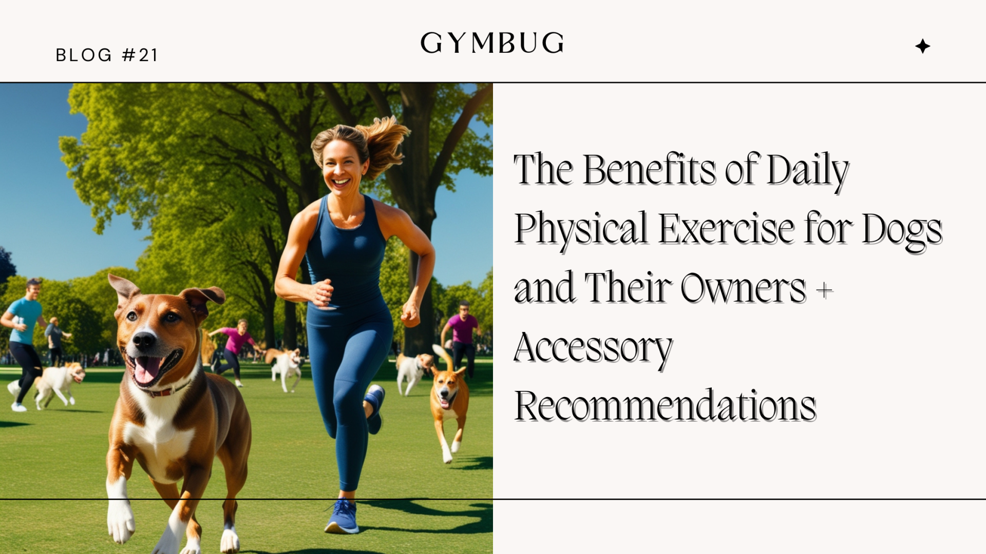 Mulher a correr com cães num parque e texto sobre benefícios de exercício físico diário para cães e donos