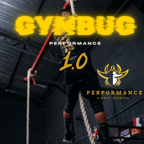 Pessoa a escalar corda num ginásio com texto promocional GYMBUG PERFORMANCE 1.0