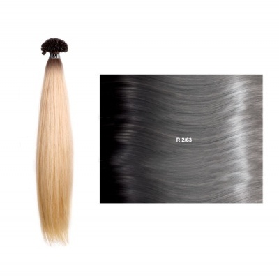 mechas loiro claro e amostra de cabelo cinzento prateado R 2/63