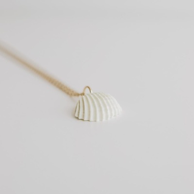 Colar com pendente de concha branca sobre fundo branco