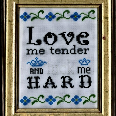 Quadro bordado com texto Love me tender AND me HARD e flores azuis