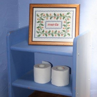 Estante azul com papel higiénico e quadro em ponto cruz com a palavra 'merda'.