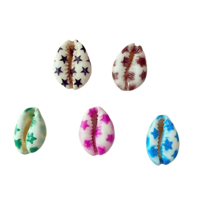 Cinco conchas naturais com estrelas coloridas