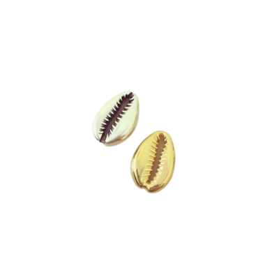 Pendentes em forma de concha cowrie, prateado e dourado, com detalhes em relevo