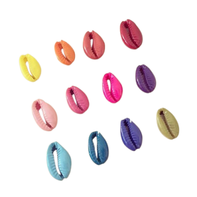Doze conchas pequenas coloridas sobre fundo branco