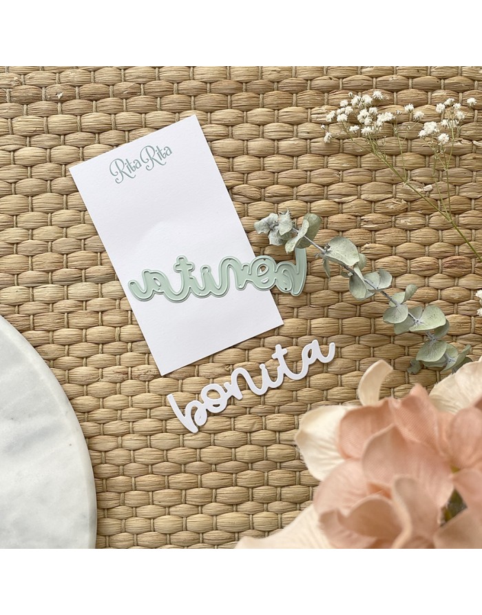 Palavras recortadas 'natural' e 'bonita' sobre cartão e tecido com flores secas