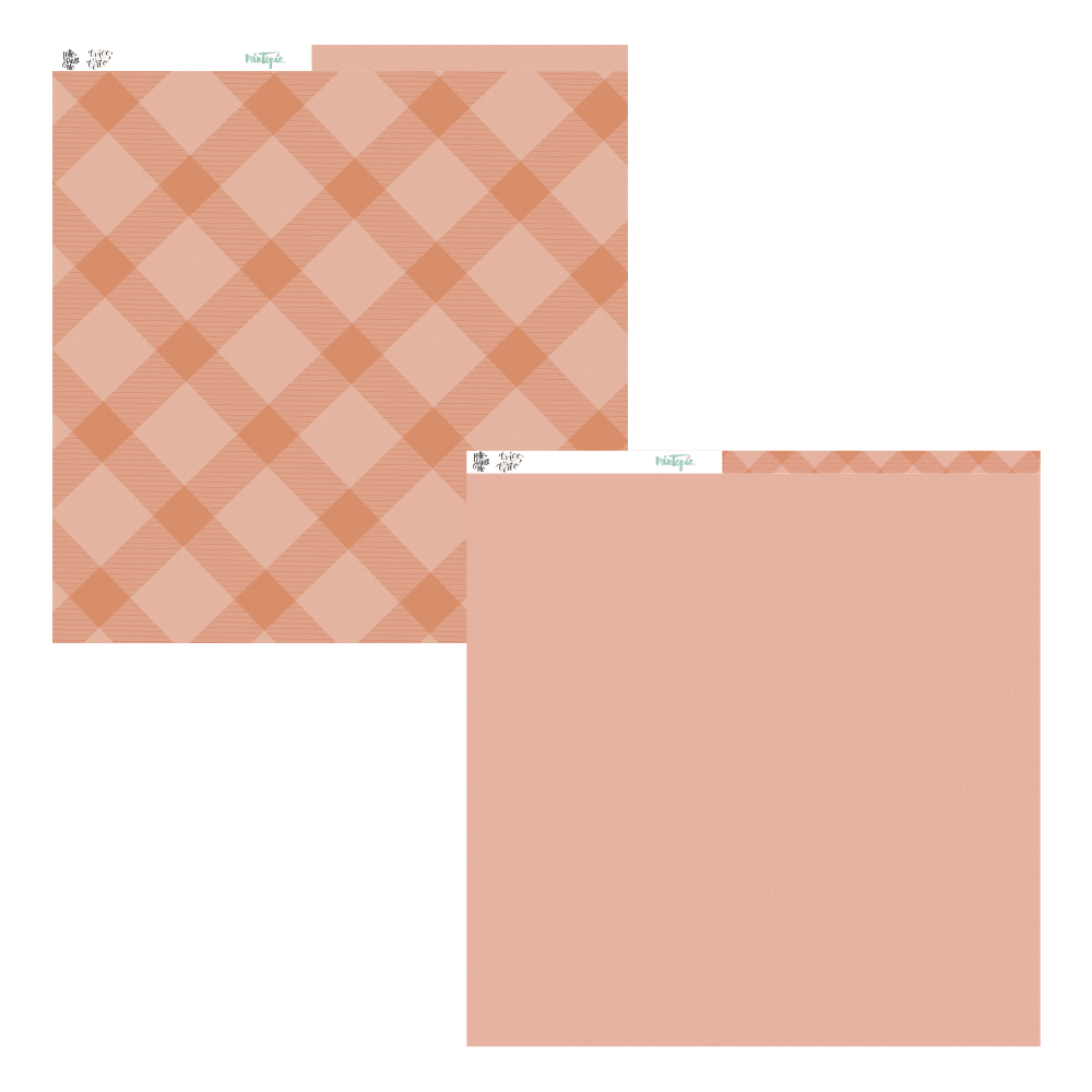 Folha dupla-face para scrapbooking com padrão xadrez laranja e rosa de um lado e rosa sólido do outro