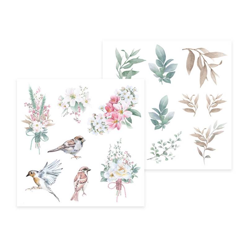 Ilustrações botânicas e aves em aquarela em duas folhas brancas