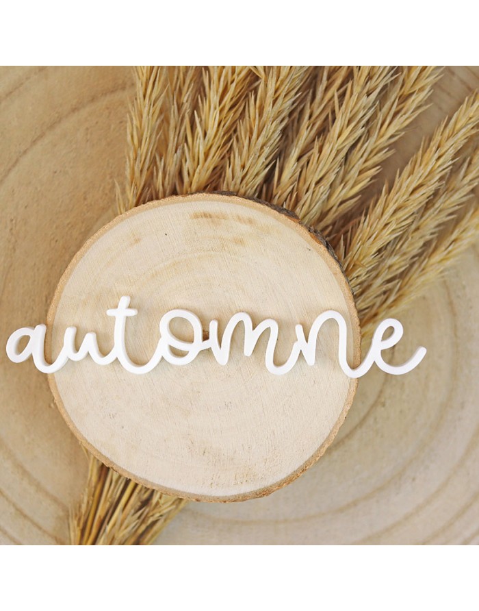 Palavra decorativa 'automne' branca sobre madeira e espigas secas