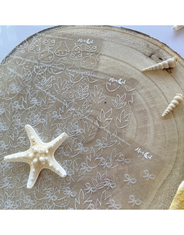 Placa transparente redonda com desenhos brancos sobre madeira com estrela do mar e conchas