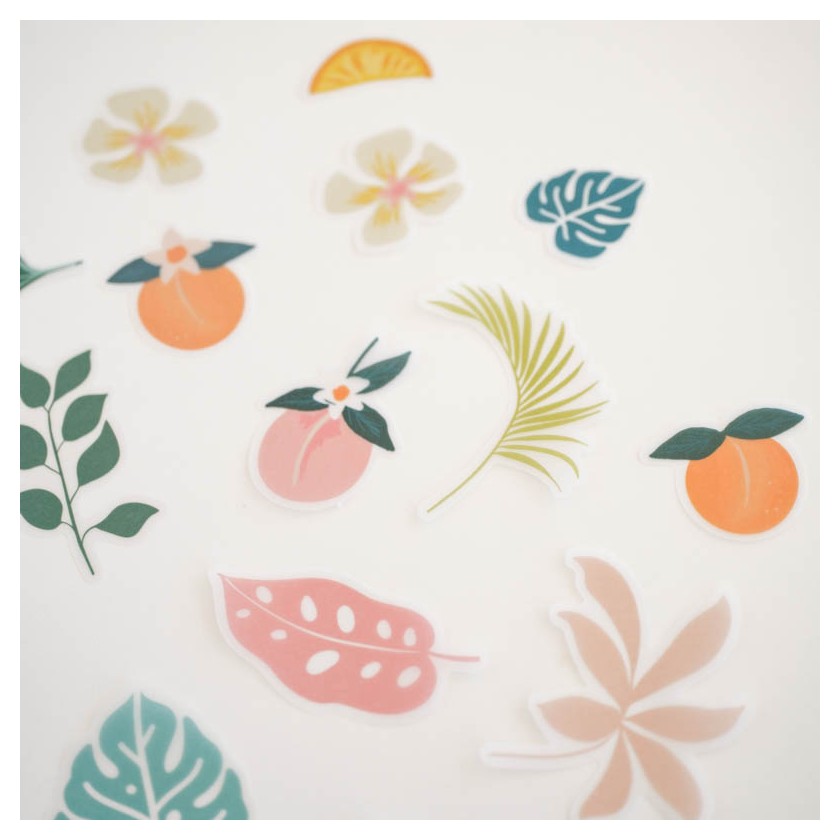 Autocolantes de folhas e frutas tropicais coloridas sobre fundo branco