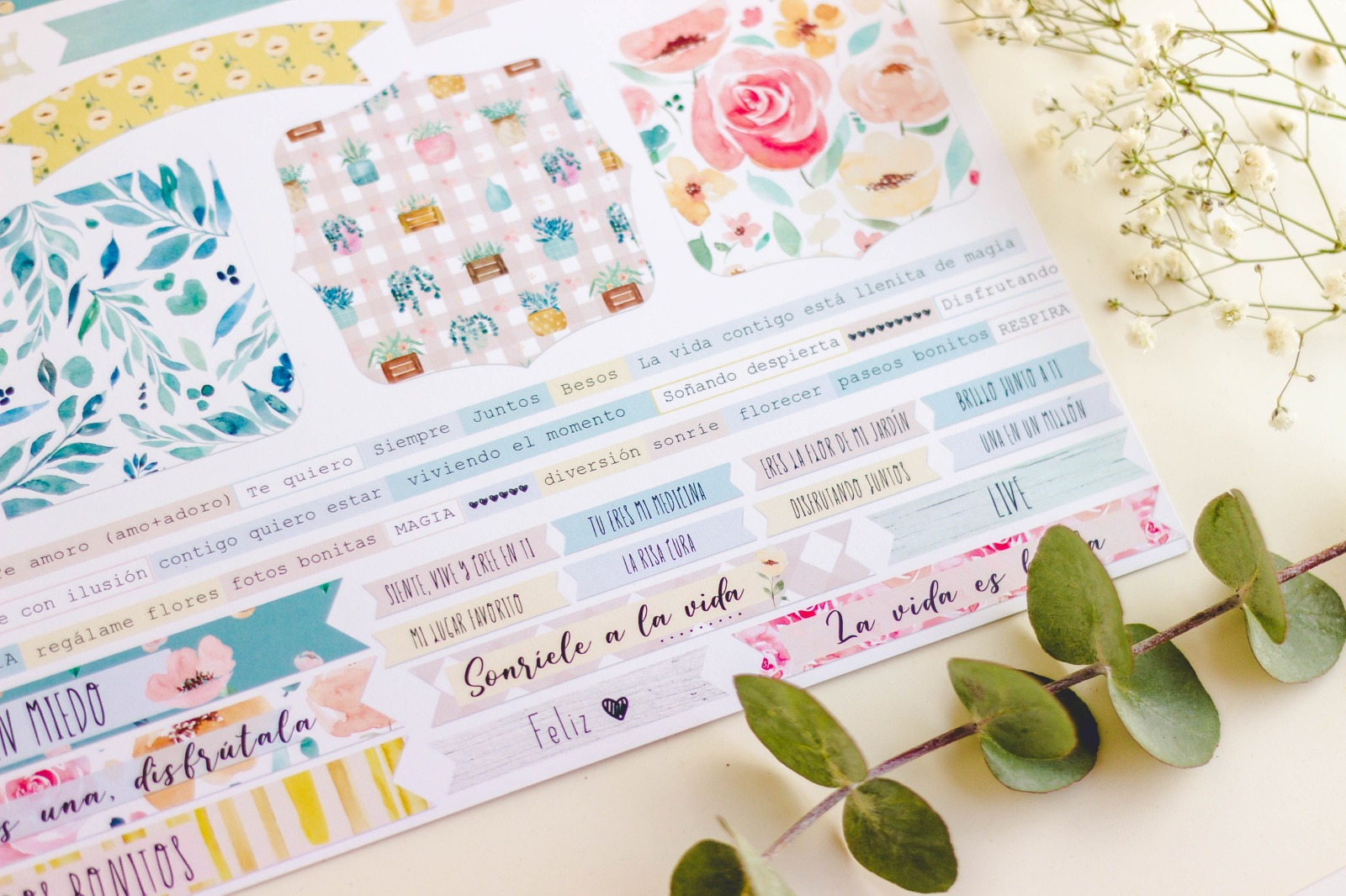 Autocolantes decorativos coloridos com frases em espanhol e padrões florais sobre superfície clara com folhas verdes e flores secas