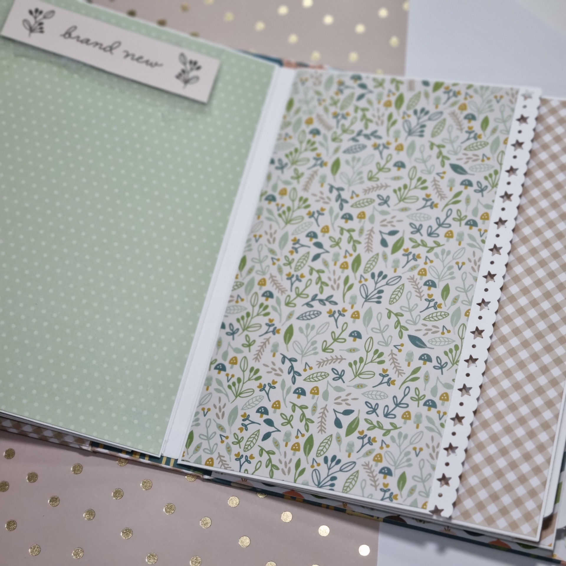 Livro de scrapbook aberto com folhas decorativas e cartão 'brand new'