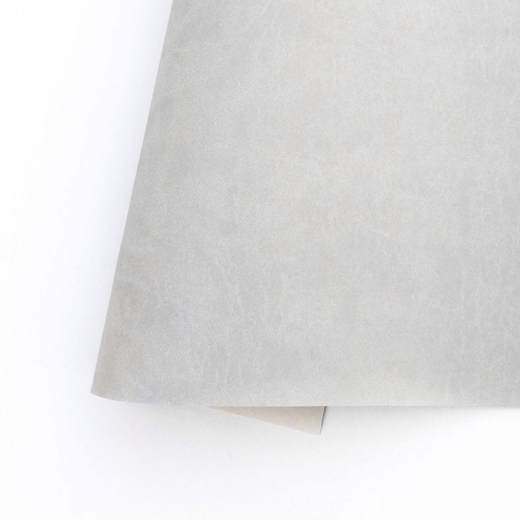 Folha cinza claro com textura rugosa sobre fundo branco