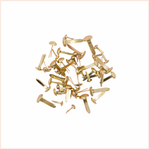 Pregos de metal dourado com cabeças redondas sobre fundo branco