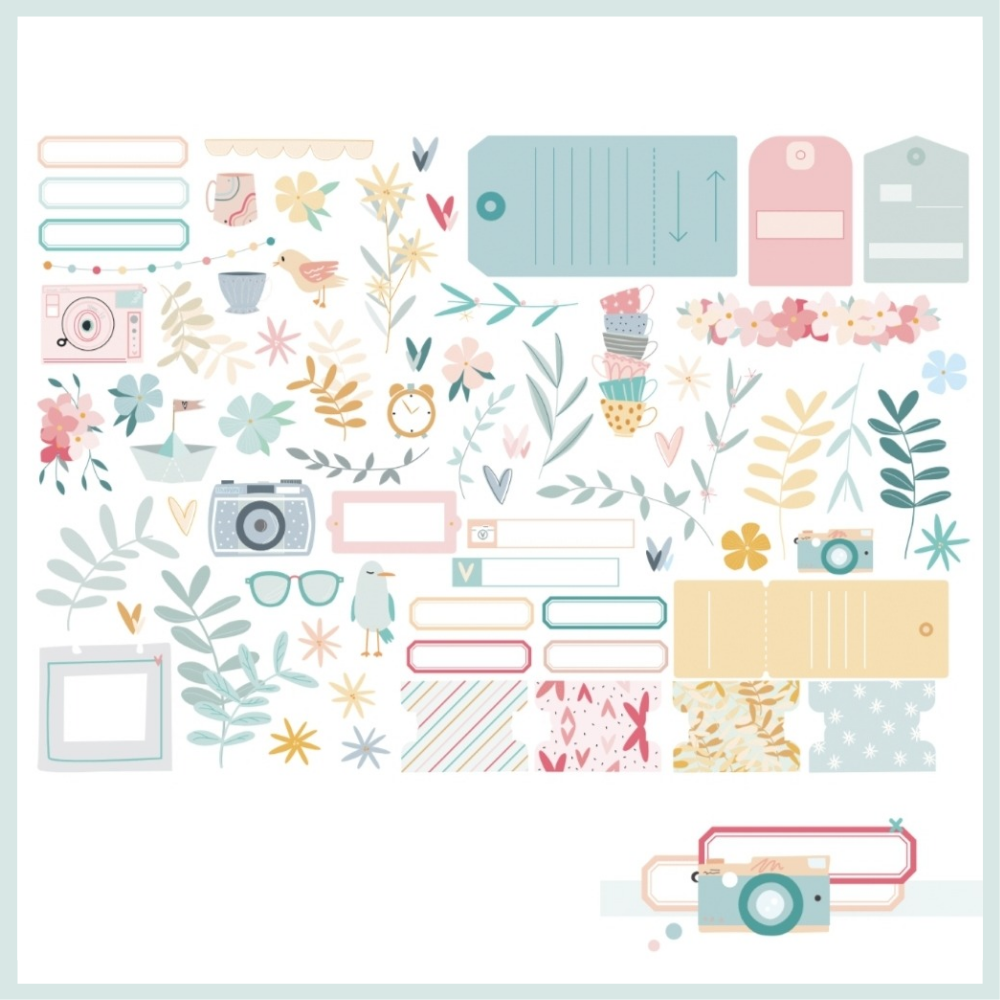 Elementos gráficos decorativos em tons pastel com câmeras, flores, folhas e etiquetas