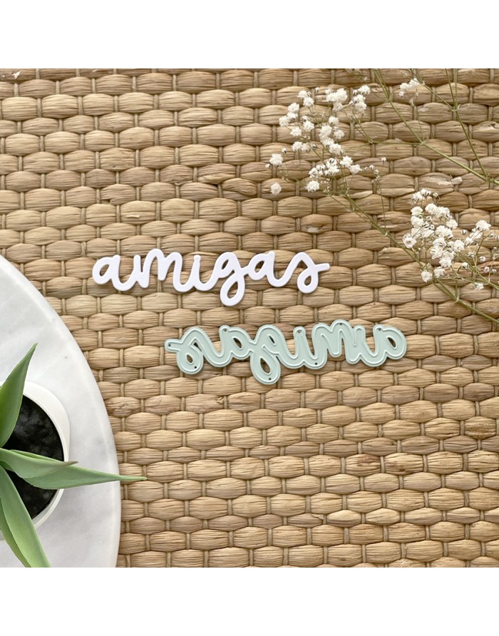 Recortes em acrílico com a palavra amigas em branco e azul claro sobre superfície trançada e plantas