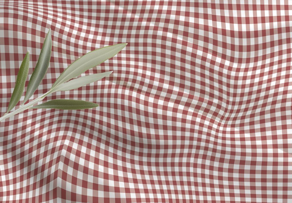 tecido xadrez vermelho e branco com ramo de folhas verdes