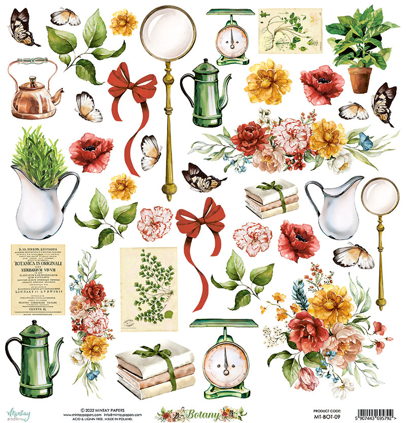 coleção botânica decorativa com flores, folhas, borboletas, utensílios vintage e ilustrações