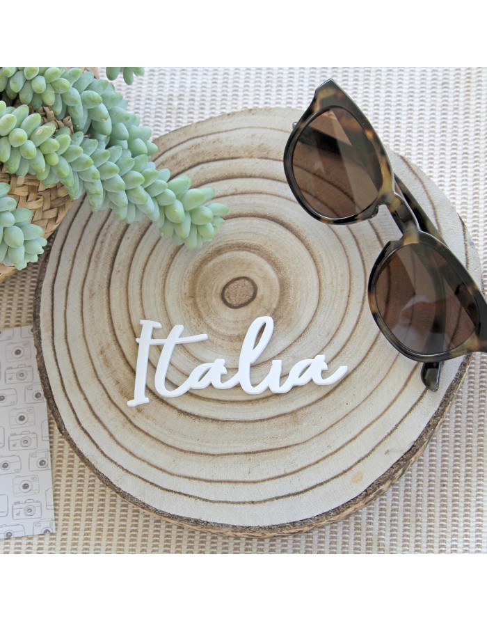 Óculos de sol castanhos sobre disco de madeira com palavra Italia e planta suculenta