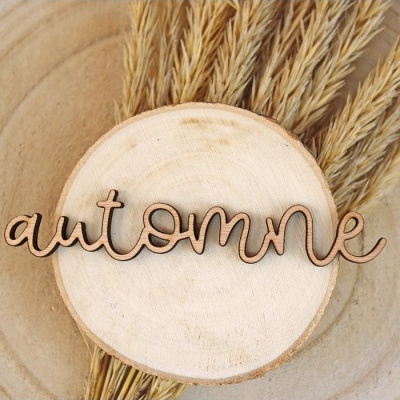 Palavra decorativa automne em madeira com base de madeira natural e plantas secas ao fundo