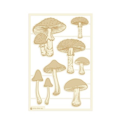 Desenhos a tinta de cogumelos bege e castanhos sobre fundo branco.