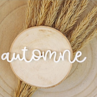 Palavra decorativa 'automne' branca sobre madeira e espigas secas