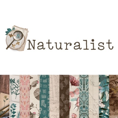 Logotipo Naturalist com lupa e folhas, seguido de papéis decorativos com padrões florais e naturais.