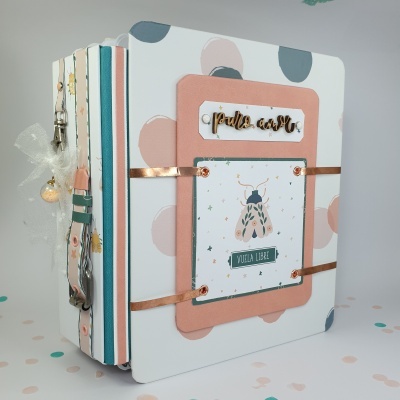 Álbum artesanal com capa decorada, padrão de bolinhas e ilustração de inseto, com texto em relevo e fita cobre.