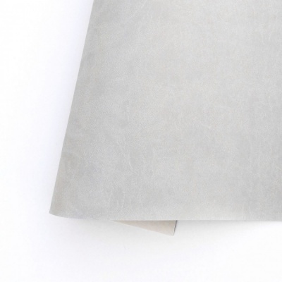 Folha cinza claro com textura rugosa sobre fundo branco