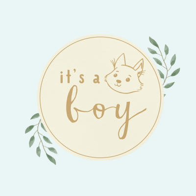 Imagem circular com texto 'it's a boy' e desenho de cão com folhas verdes