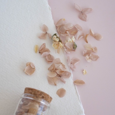 Pétalas secas cor de rosa e bege com frasco de vidro e tampa de cortiça sobre superfície branca e rosa