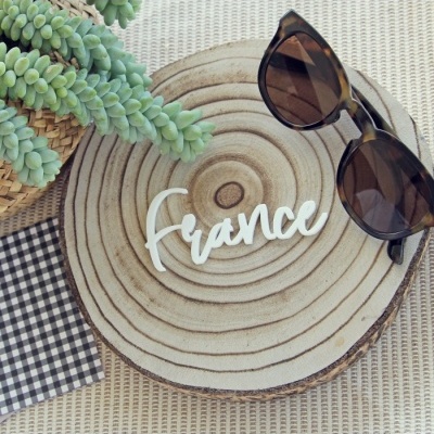 Base decorativa em forma de tronco de árvore com palavra 'france', óculos de sol castanhos, planta suculenta e pano xadrez