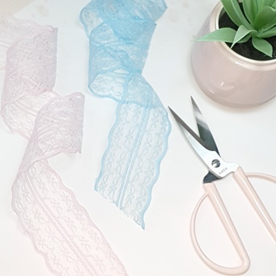 Fita de renda azul e rosa clara, tesoura e planta suculenta