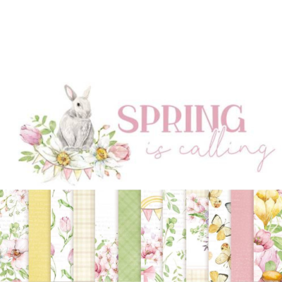 Coelho e flores com texto 