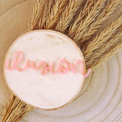 Objeto decorativo com a palavra 'ilusión' em rosa sobre círculo de madeira e raminhos secos