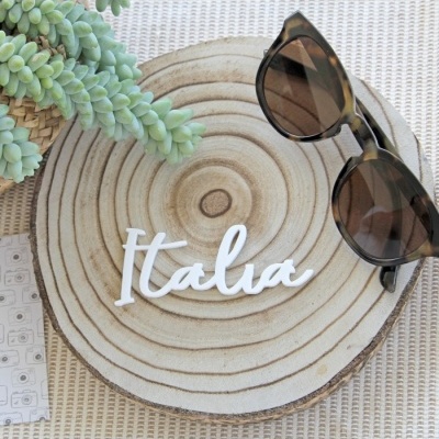 Óculos de sol castanhos sobre disco de madeira com palavra Italia e planta suculenta