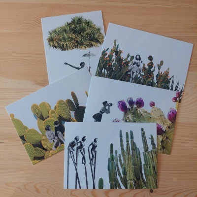 Cinco cartões postais com imagens de plantas suculentas e cactos em fundo branco sobre superfície de madeira