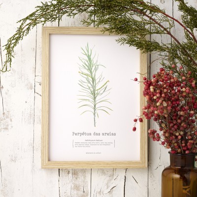Poster botânico com ramos verdes e texto emoldurado junto a vaso com bagas vermelhas em fundo de madeira branca