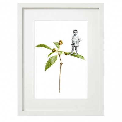quadro branco com ilustração de planta verde e figura a preto e branco de menino