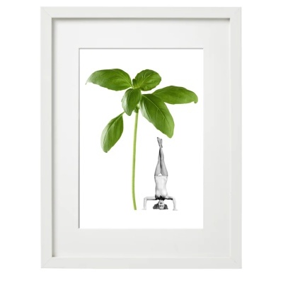 Quadro branco com ilustração de planta verde e escultura metálica prateada